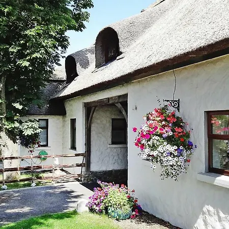 Holiday Homes Bettystown Eir04046 Fyb Louth